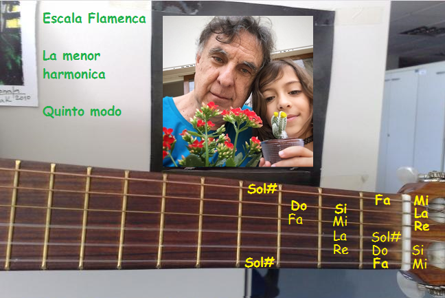 escala flamenca